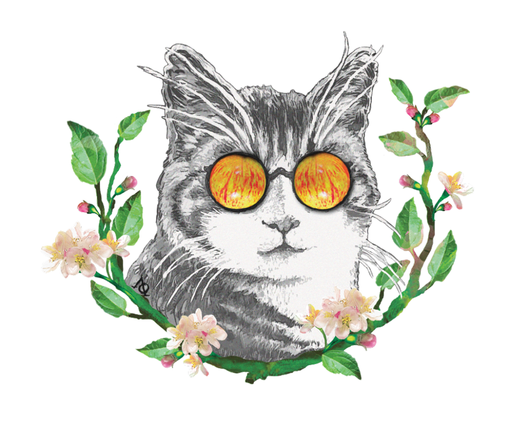 eye cyder original gravenstein cider label